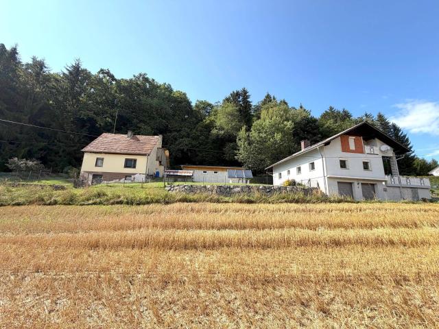 Haus kaufen in Schichenau, St. Stefan im Rosental
