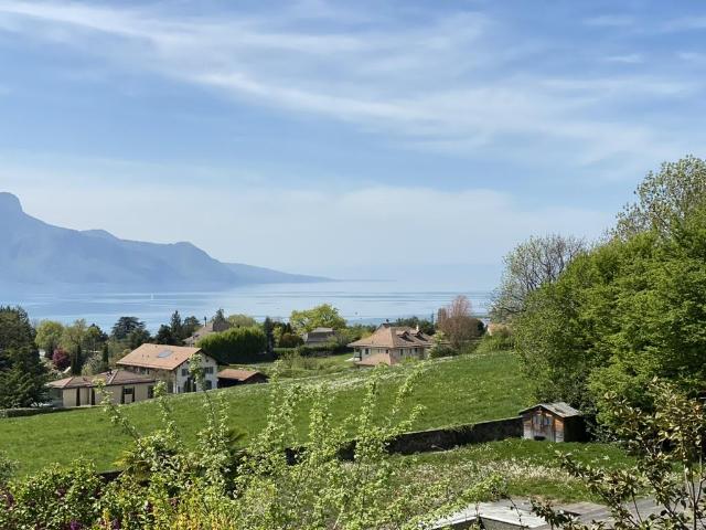 Haus kaufen in Chailly-Montreux, Waadt