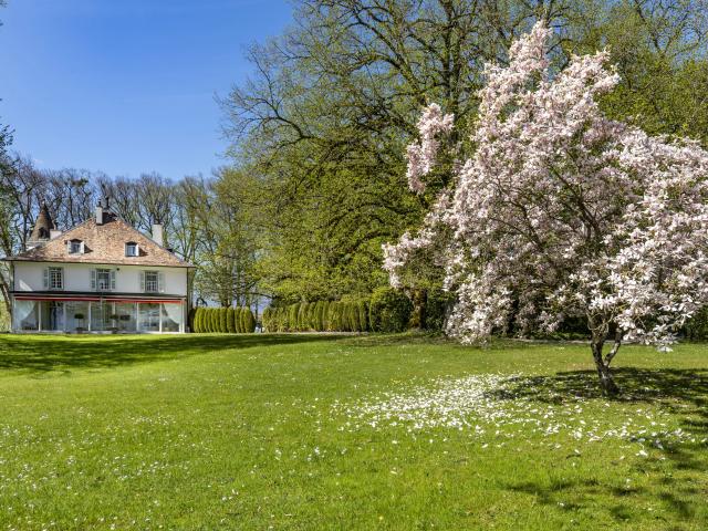 Haus kaufen in Conches