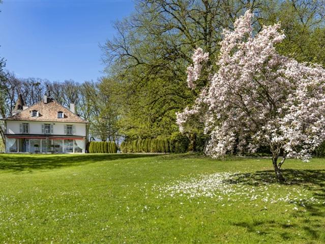 Einfamilienhaus kaufen in Conches