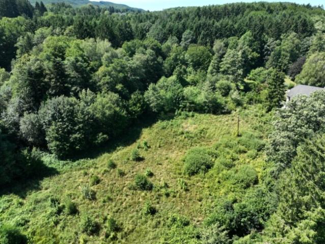 Grundstück kaufen in Pressbaum, Niederösterreich