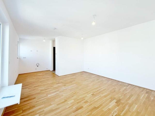 Wohnung kaufen in Liesing, Wien