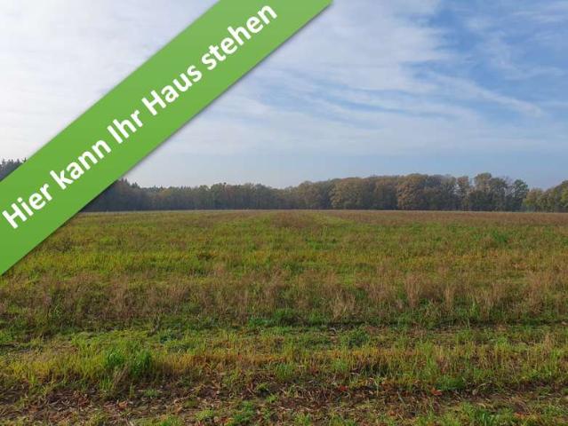 Haus kaufen in Adolphsheide, Bad Fallingbostel