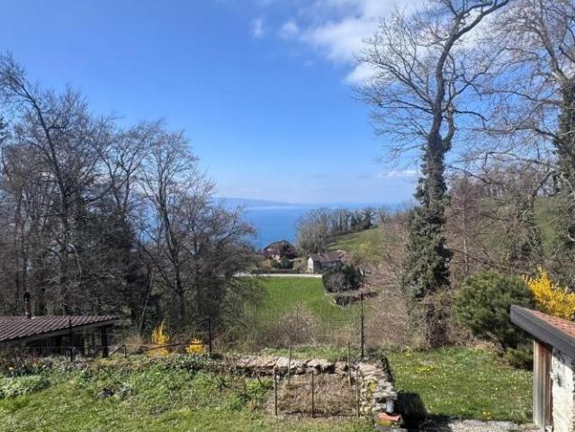 Haus kaufen in Saint-Saphorin (Lavaux), Waadt