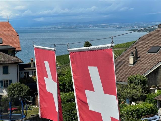 Einfamilienhaus kaufen in Bourg-en-Lavaux, Waadt