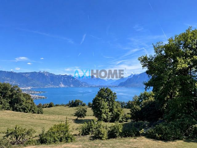 Reihenfamilienhaus kaufen in Chardonne, Waadt