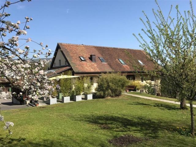 Einfamilienhaus kaufen in Courtételle, Jura