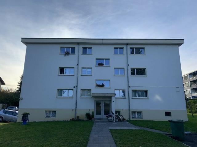 Wohnung mieten in Schürmatt, Safenwil