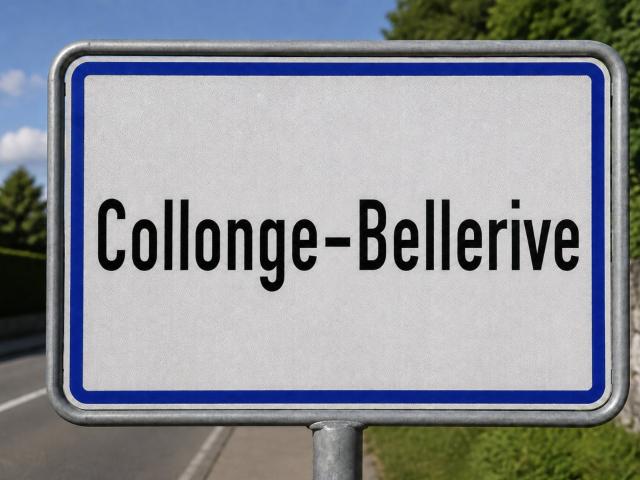 Haus kaufen in Collonge-Bellerive
