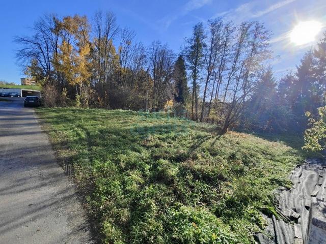 Immobilie kaufen in Bad Hall, Oberösterreich