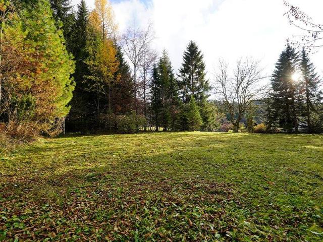 Immobilie kaufen in Ebenau, Salzburg