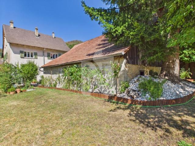 Mehrfamilienhaus kaufen in Nunningen, Solothurn