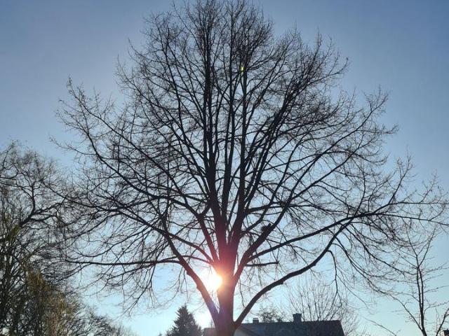 Haus kaufen in Neubeckum, Nordrhein-Westfalen