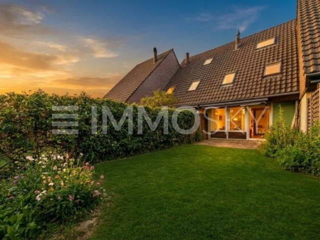 Reihenfamilienhaus kaufen in Gümmenen, Bern