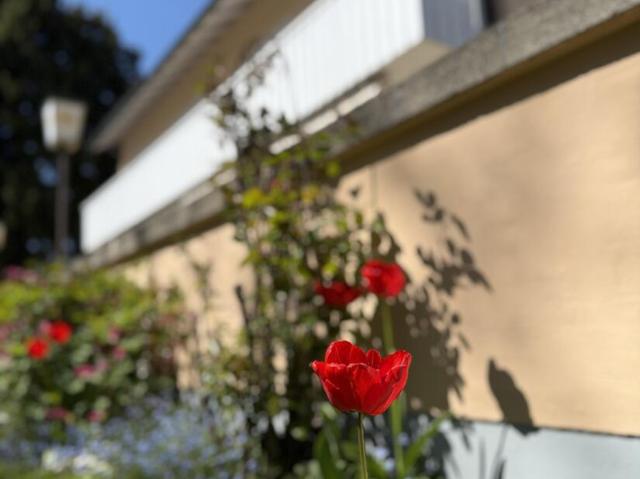Mehrfamilienhaus kaufen in Trostberg, Bayern