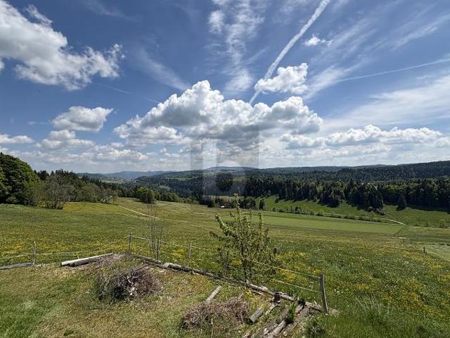 Haus kaufen in Saint-Brais, Jura