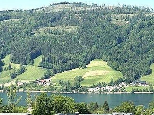 Immobilie kaufen in Zell am Moos, Oberösterreich