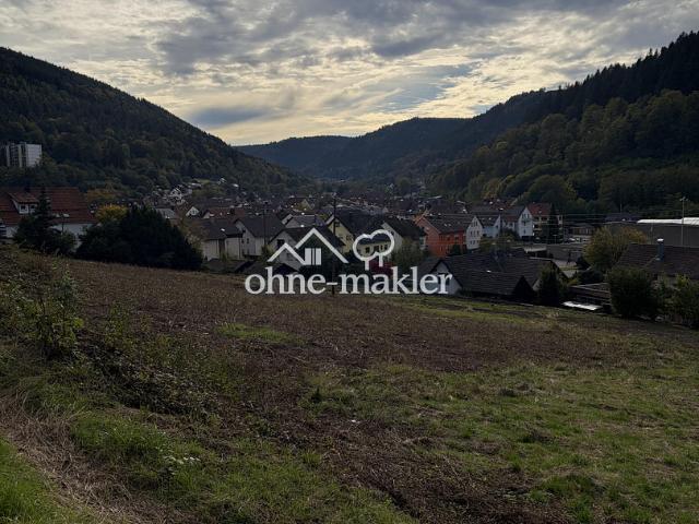 Erdgeschosswohnung kaufen in Calmbach, Bad Wildbad