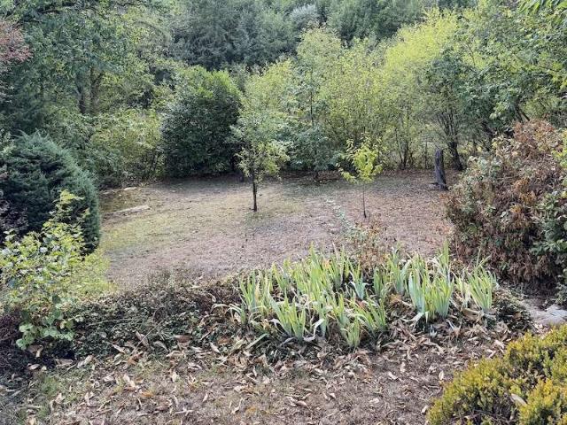 Erdgeschosswohnung kaufen in Kronberg, Kronberg im Taunus