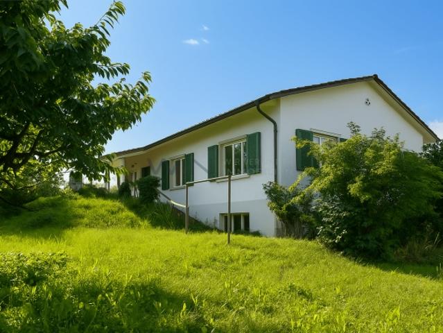 Einfamilienhaus kaufen in Frauenfeld