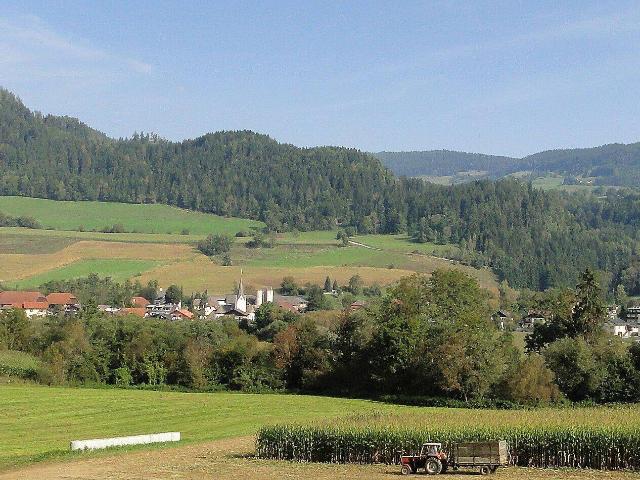 Immobilie kaufen in Liebenfels, Kärnten