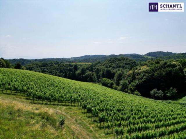 Grundstück kaufen in Gamlitz, Steiermark