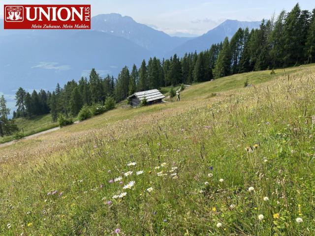 Immobilie kaufen in Berg im Drautal, Kärnten