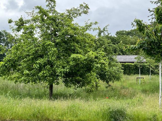 Haus kaufen in Drensteinfurt