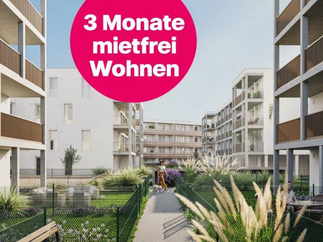 Apartment mieten in Vösendorf, Bezirk Mödling