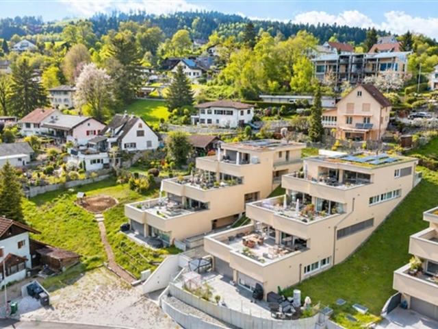 Wohnung kaufen in Menziken, Aargau