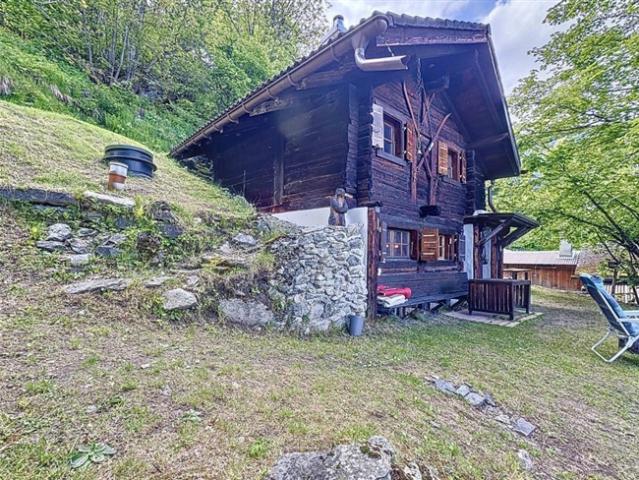 Haus kaufen in Lourtier, Wallis