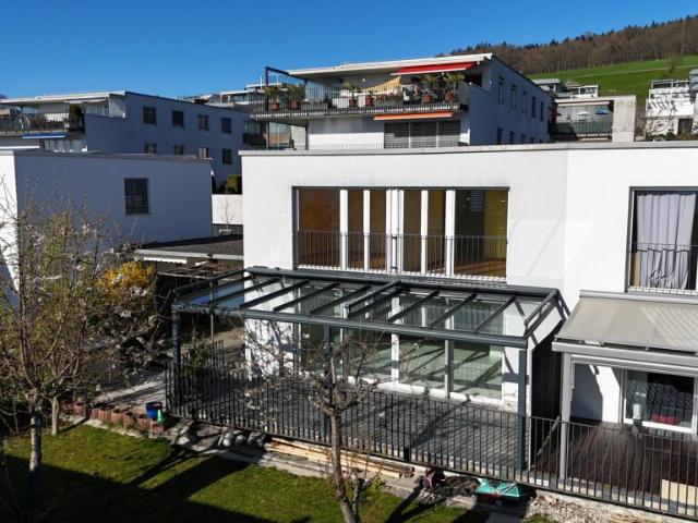 Haus kaufen in Bellikon