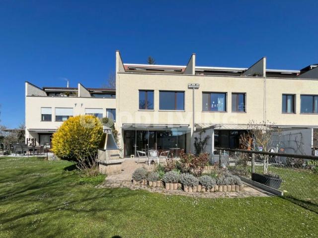 Reihenfamilienhaus kaufen in Russikon, Zürich