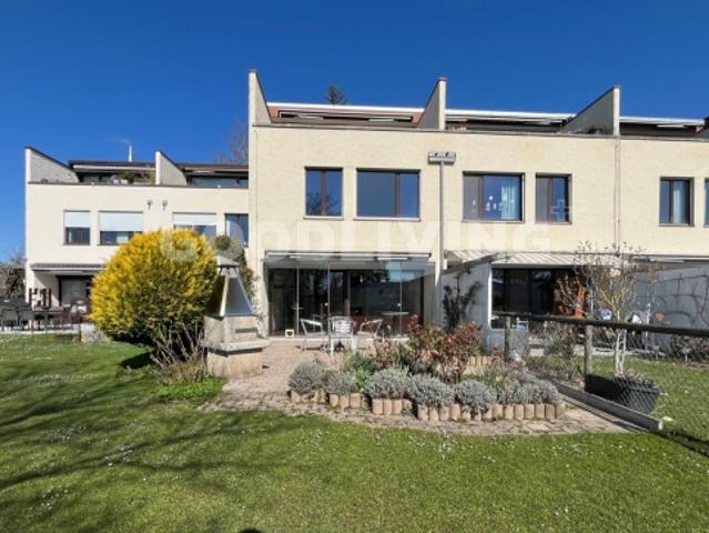 Reihenfamilienhaus kaufen in Russikon, Zürich