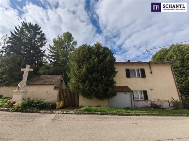Einfamilienhaus kaufen in Sitzendorf an der Schmida, Niederösterreich