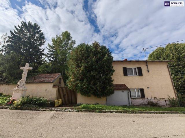 Haus kaufen in Sitzendorf an der Schmida, Niederösterreich
