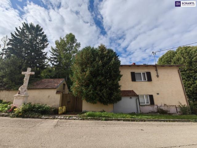 Einfamilienhaus kaufen in Sitzendorf an der Schmida, Niederösterreich