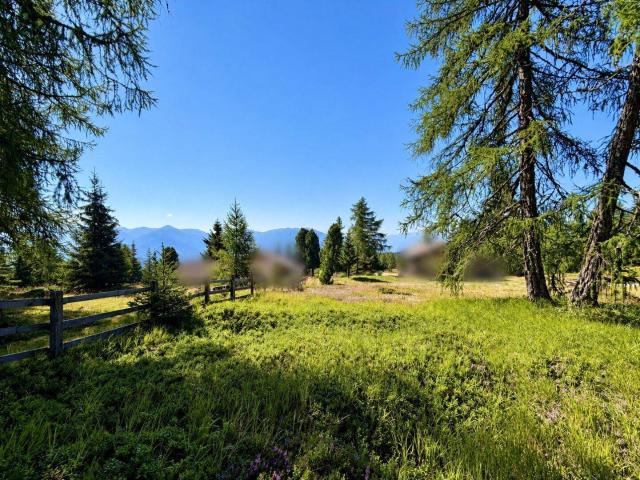 Immobilie kaufen in Gmünd, Kärnten