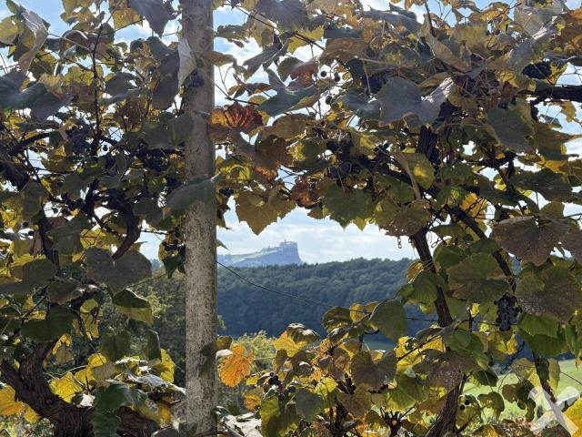 Haus kaufen in Riegersburg, Steiermark