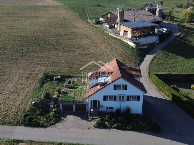 Haus kaufen in Wislikofen, Zurzach