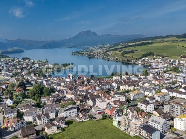 Einfamilienhaus kaufen in Küssnacht am Rigi, Schwyz
