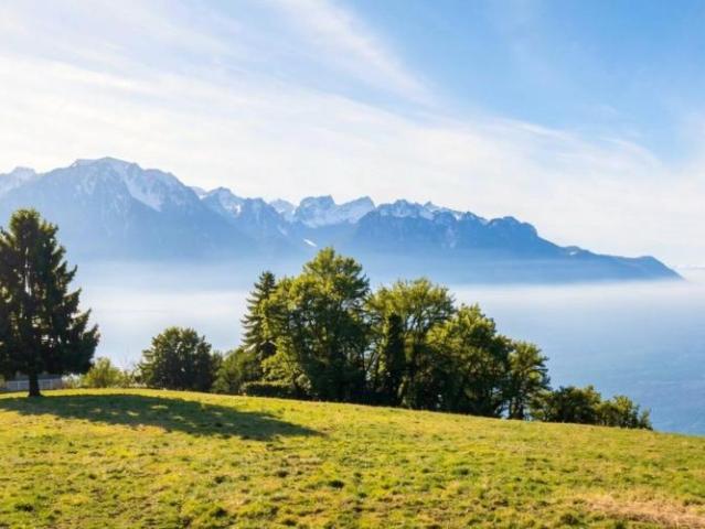 Haus kaufen in Chailly-Montreux, Waadt