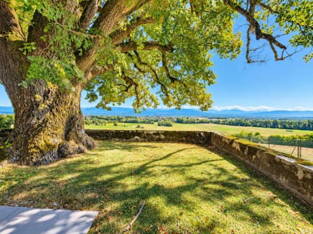 Einfamilienhaus kaufen in Chéserex, District de Nyon