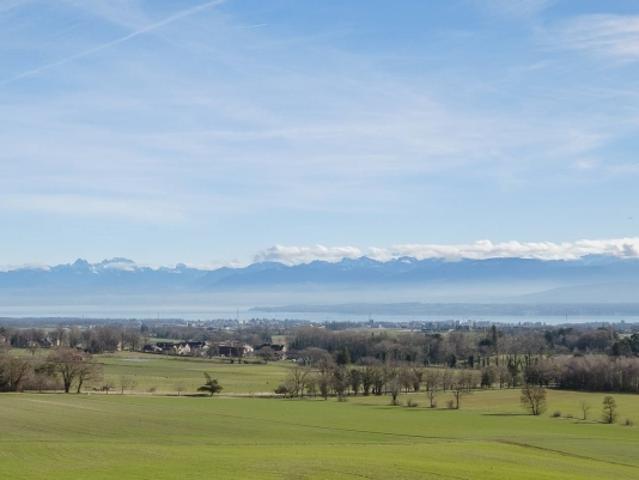 Einfamilienhaus kaufen in Chéserex, Waadt