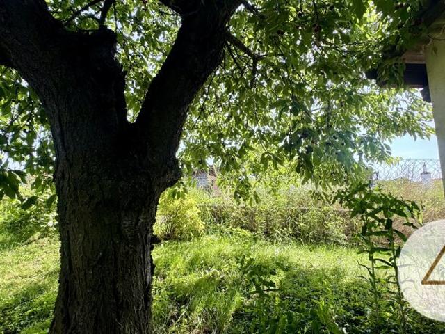 Haus kaufen in Riegersburg, Steiermark