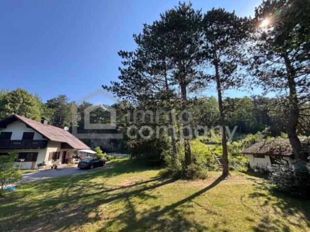Einfamilienhaus kaufen in Pitten, Niederösterreich