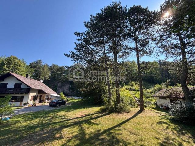 Haus kaufen in Neustadtl an der Donau, Niederösterreich