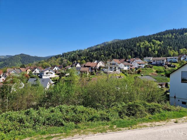 Landwirtschaft kaufen in Forbach, Baden-Württemberg
