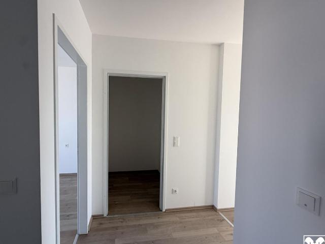 Wohnung kaufen in Wiener Neustadt, Niederösterreich