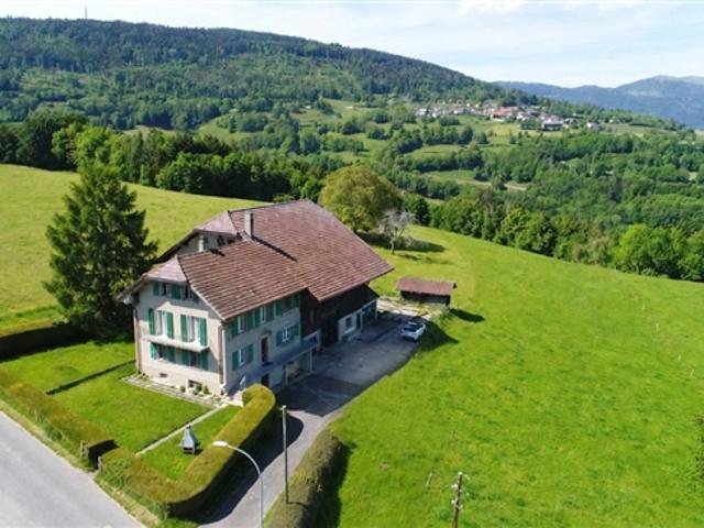 Einfamilienhaus kaufen in Romainmôtier, Waadt